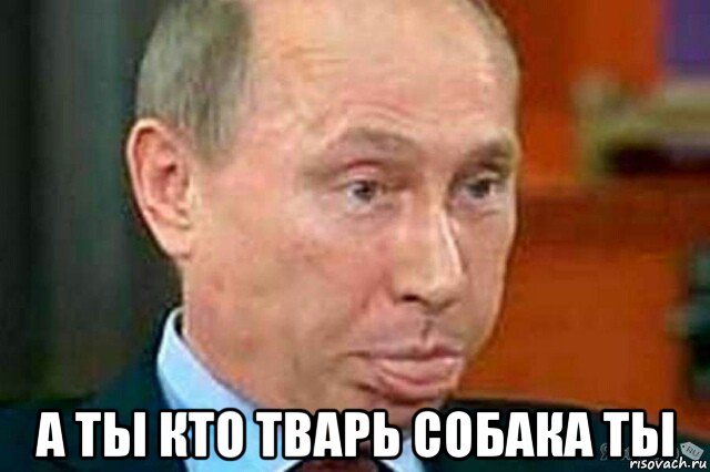  а ты кто тварь собака ты, Мем Путин пьяный