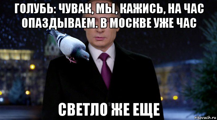 голубь: чувак, мы, кажись, на час опаздываем. в москве уже час светло же еще, Мем Путин с голубем