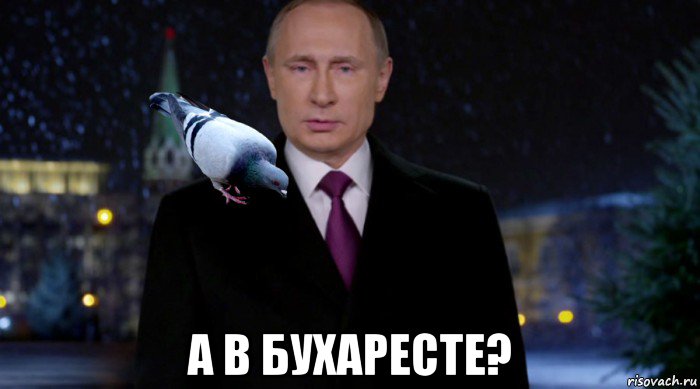  а в бухаресте?, Мем Путин с голубем
