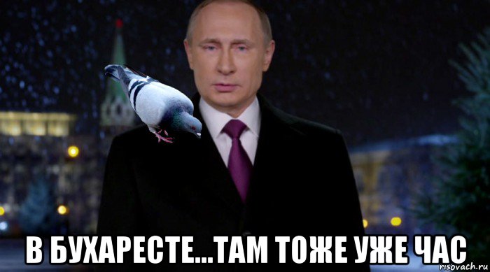  в бухаресте...там тоже уже час, Мем Путин с голубем