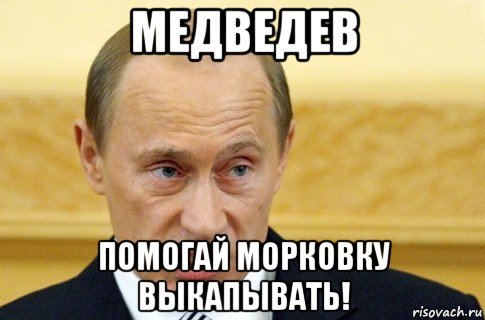 медведев помогай морковку выкапывать!, Мем путин