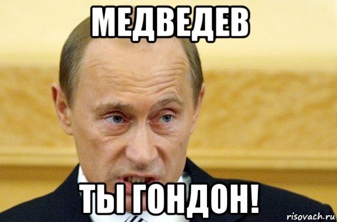 медведев ты гондон!, Мем путин