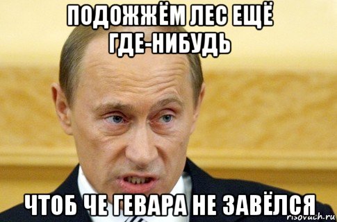 подожжём лес ещё где-нибудь чтоб че гевара не завёлся, Мем путин