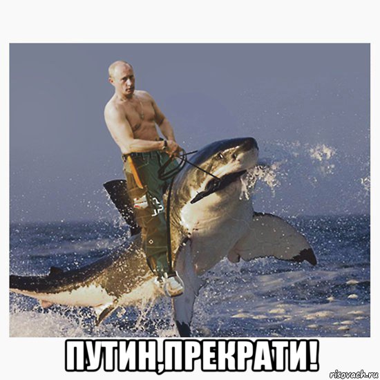  путин,прекрати!, Мем Путинпрекрати