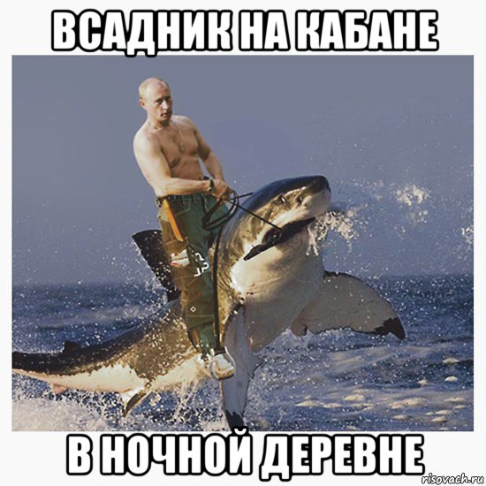 всадник на кабане в ночной деревне, Мем Путинпрекрати