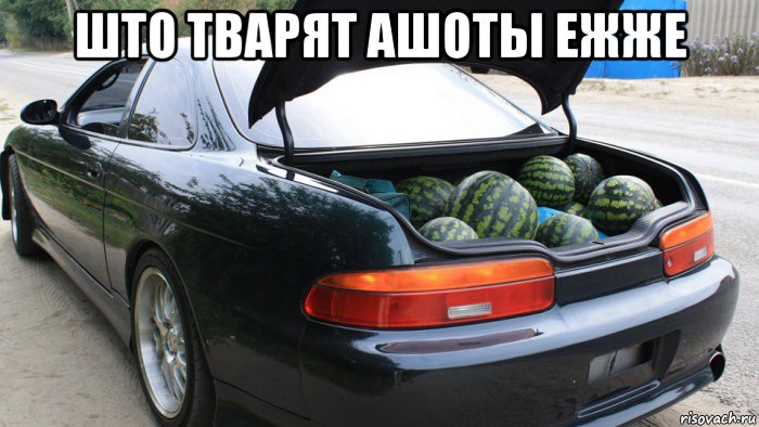 што тварят ашоты ежже , Мем Рисоводы