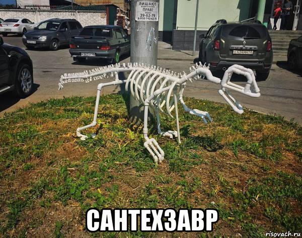  сантехзавр, Мем Рнг