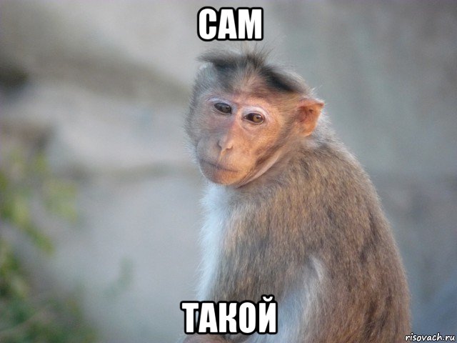 сам такой, Мем Ророр