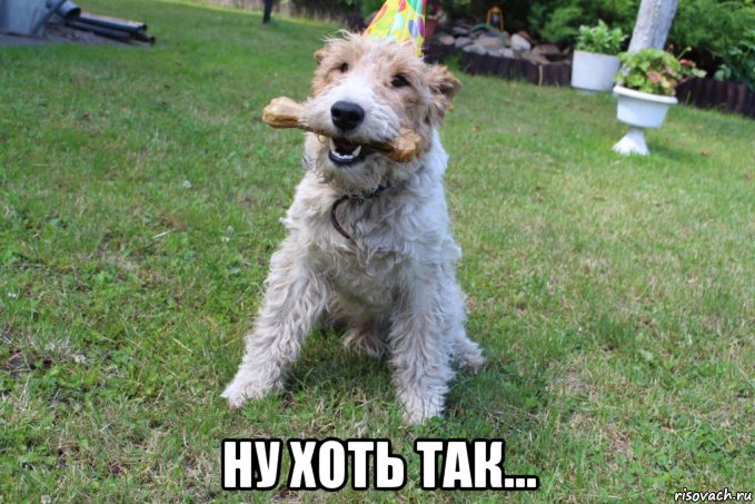  ну хоть так..., Мем Ройс1