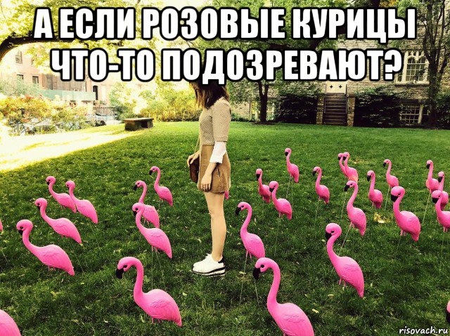 а если розовые курицы что-то подозревают? , Мем Розовые курицы