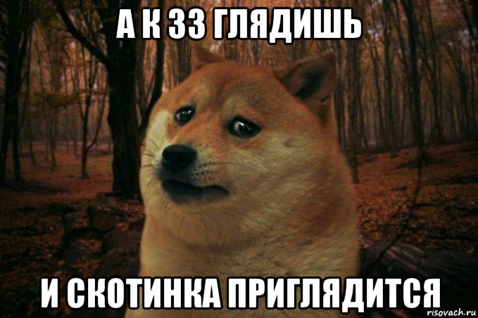 а к 33 глядишь и скотинка приглядится, Мем SAD DOGE