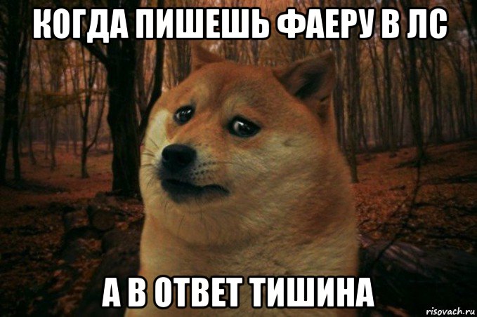 когда пишешь фаеру в лс а в ответ тишина, Мем SAD DOGE