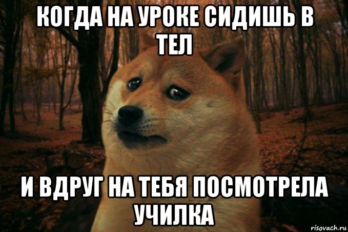 когда на уроке сидишь в тел и вдруг на тебя посмотрела училка, Мем SAD DOGE