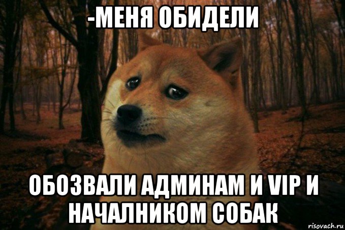 -меня обидели обозвали админам и vip и началником собак, Мем SAD DOGE