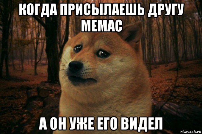 когда присылаешь другу мемас а он уже его видел, Мем SAD DOGE