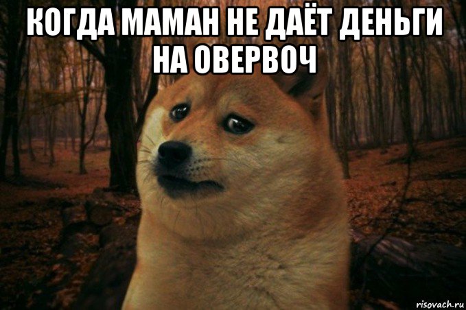 когда маман не даёт деньги на овервоч , Мем SAD DOGE