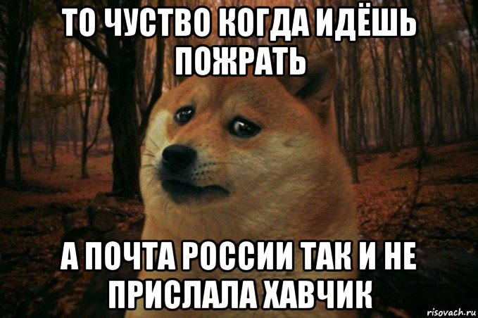 то чуство когда идёшь пожрать а почта россии так и не прислала хавчик, Мем SAD DOGE