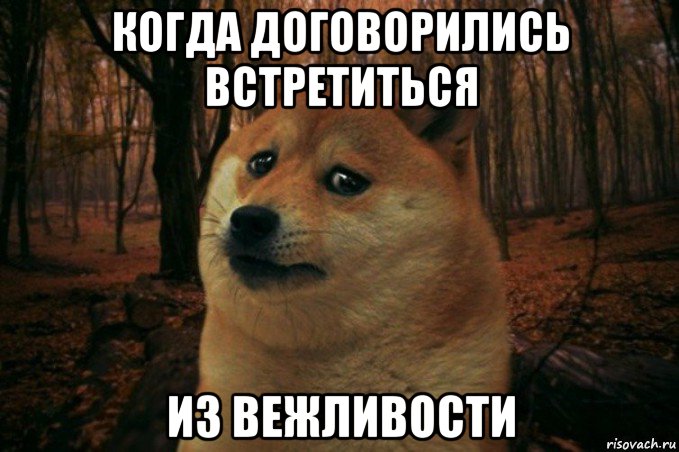 когда договорились встретиться из вежливости, Мем SAD DOGE