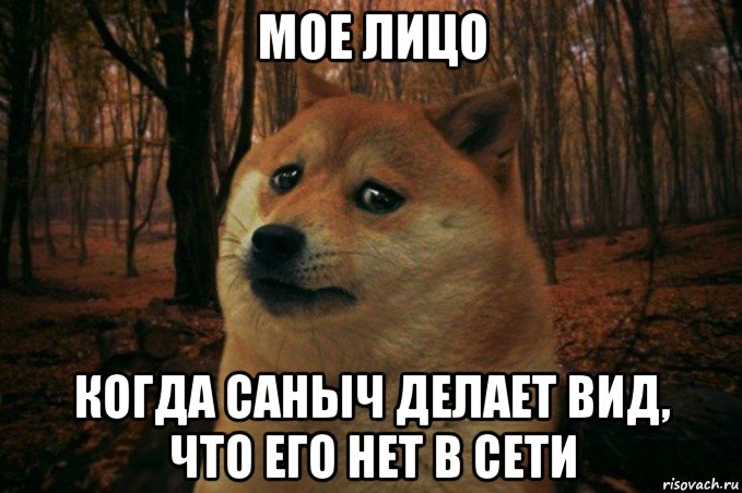 мое лицо когда саныч делает вид, что его нет в сети, Мем SAD DOGE