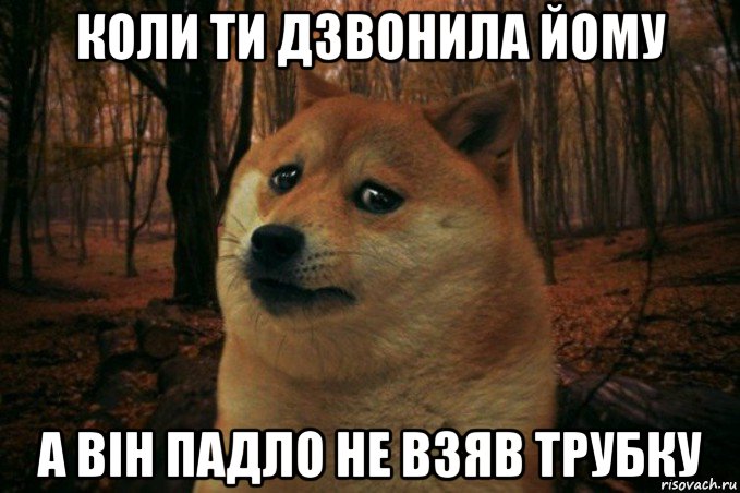 коли ти дзвонила йому а він падло не взяв трубку, Мем SAD DOGE