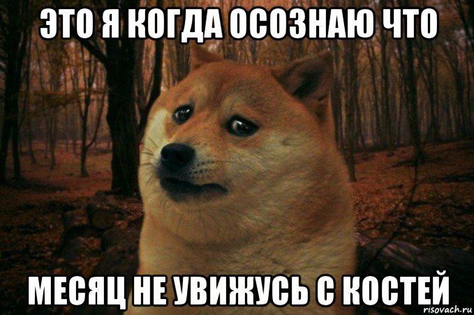 это я когда осознаю что месяц не увижусь с костей, Мем SAD DOGE