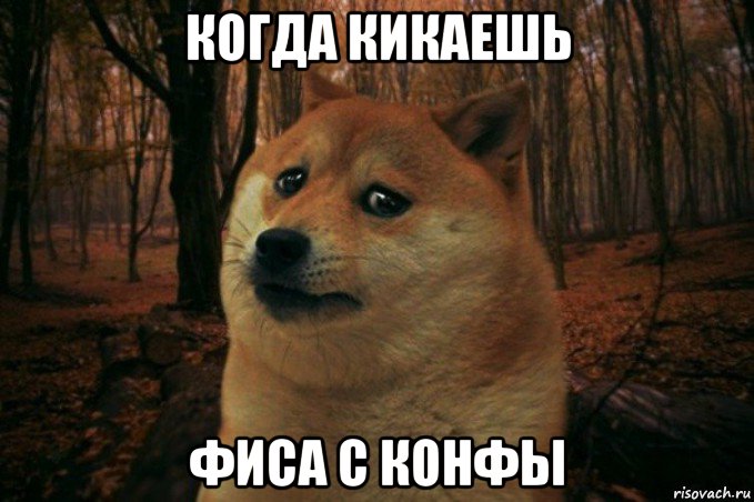 когда кикаешь фиса с конфы, Мем SAD DOGE