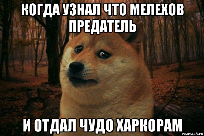 когда узнал что мелехов предатель и отдал чудо харкорам, Мем SAD DOGE