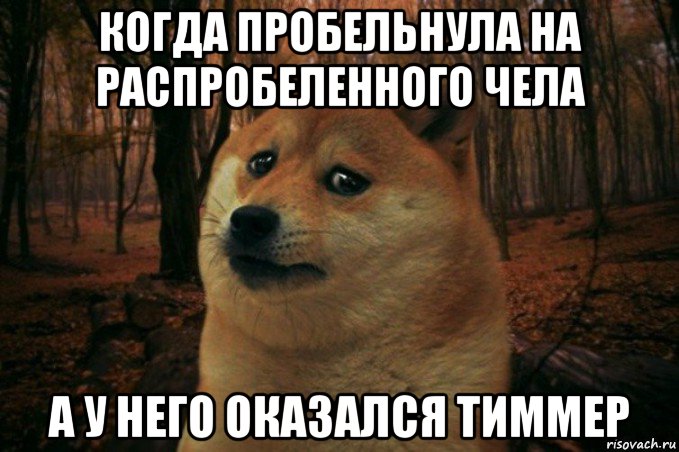 когда пробельнула на распробеленного чела а у него оказался тиммер, Мем SAD DOGE