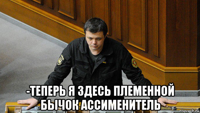  -теперь я здесь племенной бычок ассименитель, Мем Семочек дай