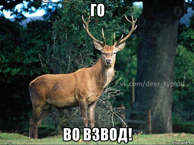 го во взвод!