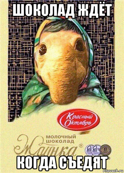 шоколад ждёт когда съедят, Мем Шоколад