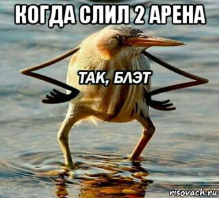когда слил 2 арена , Мем So blat