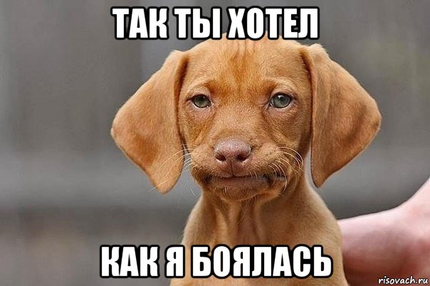 так ты хотел как я боялась