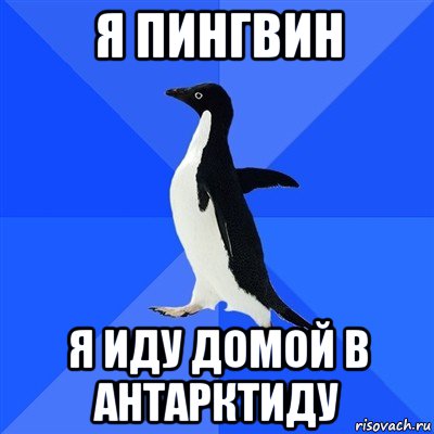 я пингвин я иду домой в антарктиду, Мем  Социально-неуклюжий пингвин
