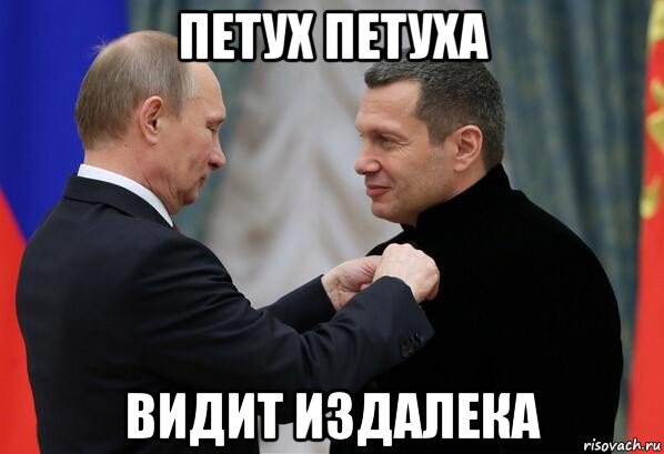 петух петуха видит издалека, Мем Соловьёв