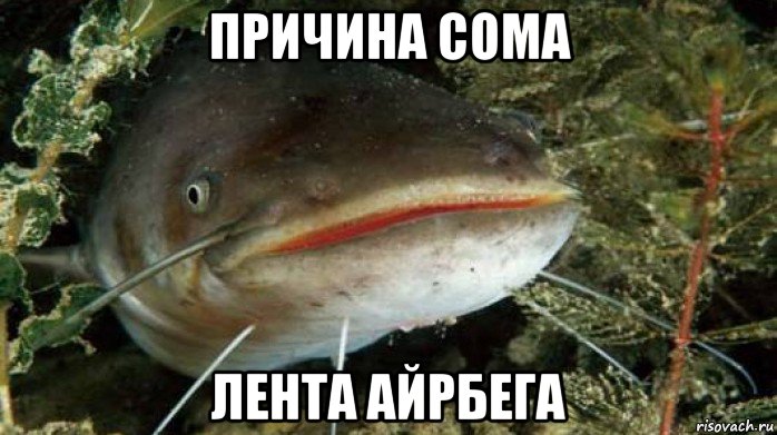 причина сома лента айрбега