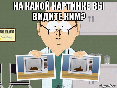 на какой картинке вы видите ким? 