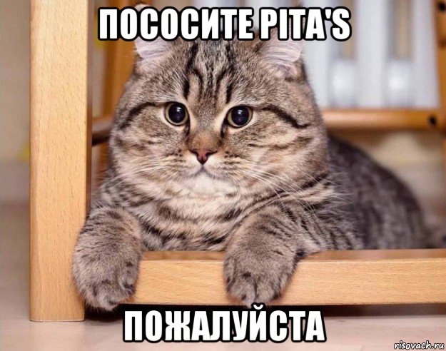 пососите pita's пожалуйста