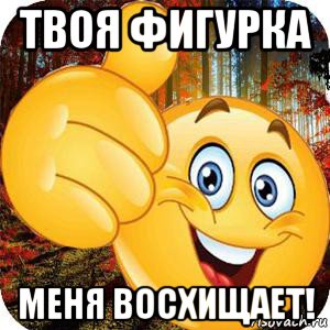 твоя фигурка меня восхищает!
