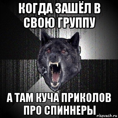 когда зашёл в свою группу а там куча приколов про спиннеры, Мем Сумасшедший волк