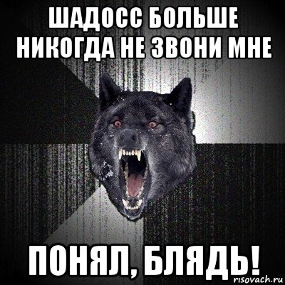 шадосс больше никогда не звони мне понял, блядь!, Мем Сумасшедший волк