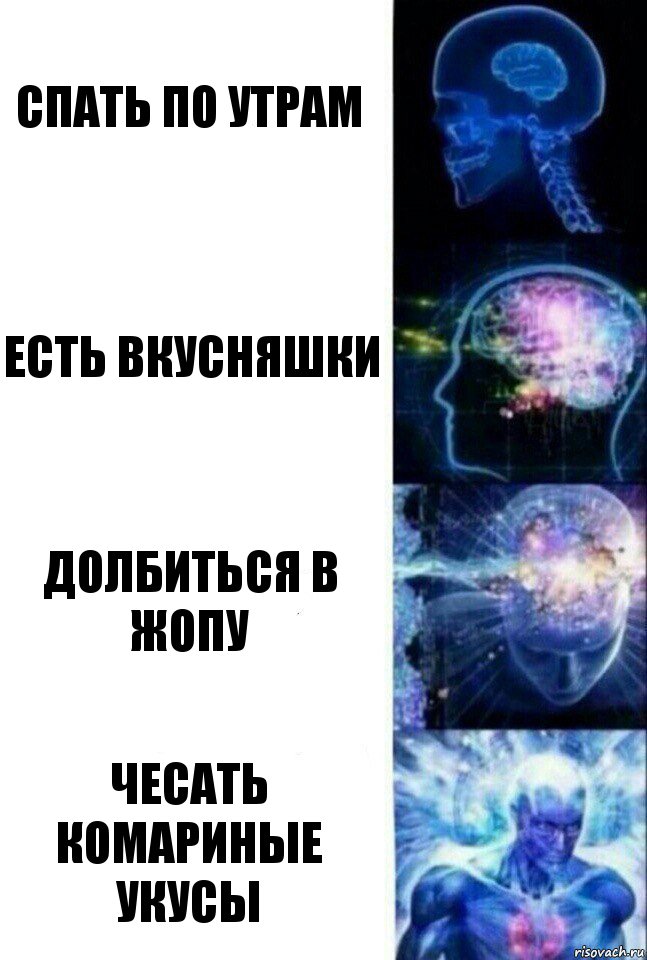 Спать по утрам Есть вкусняшки Долбиться в жопу Чесать комариные укусы, Комикс  Сверхразум