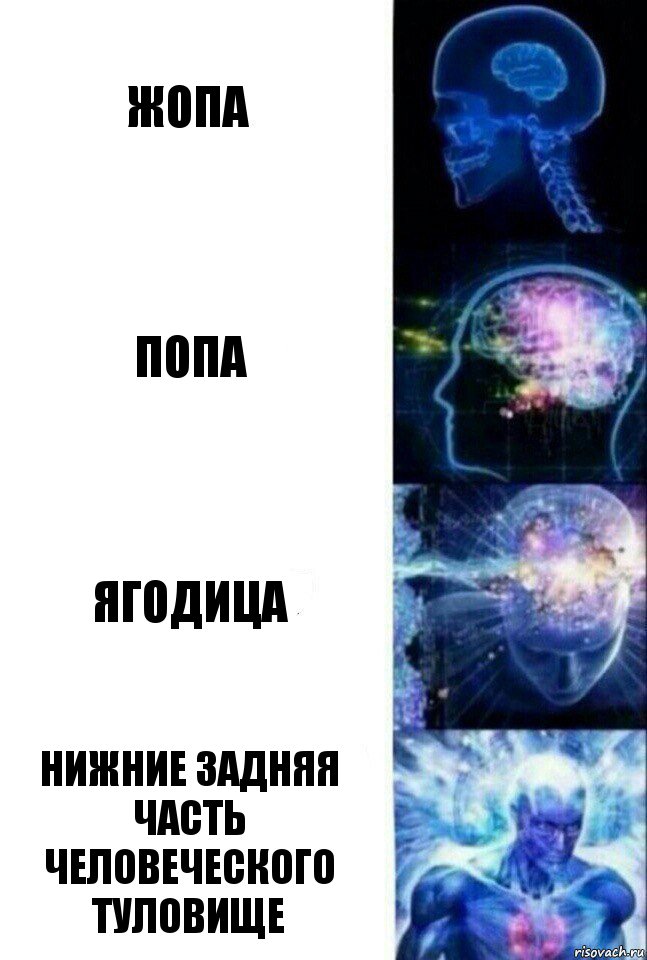 ЖОПА ПОПА ЯГОДИЦА НИЖНИЕ ЗАДНЯЯ ЧАСТЬ ЧЕЛОВЕЧЕСКОГО ТУЛОВИЩЕ, Комикс  Сверхразум