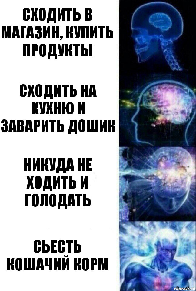 Сходить в магазин, купить продукты Сходить на кухню и заварить дошик Никуда не ходить и голодать Сьесть кошачий корм, Комикс  Сверхразум