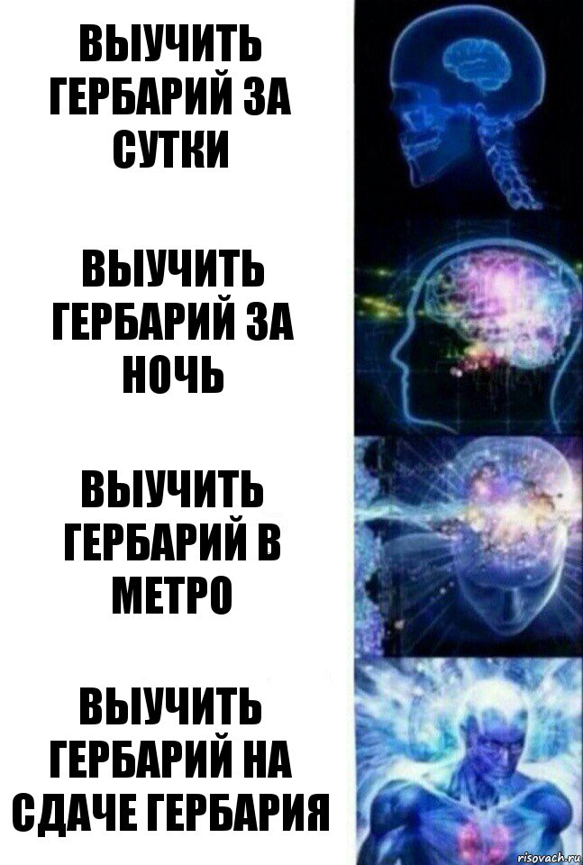 выучить гербарий за сутки выучить гербарий за ночь выучить гербарий в метро выучить гербарий на сдаче гербария, Комикс  Сверхразум