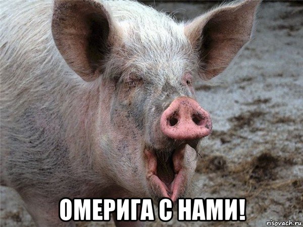  омерига с нами!