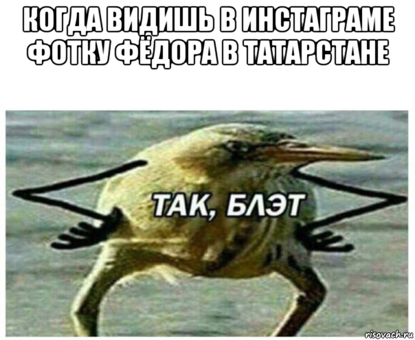 когда видишь в инстаграме фотку фёдора в татарстане 