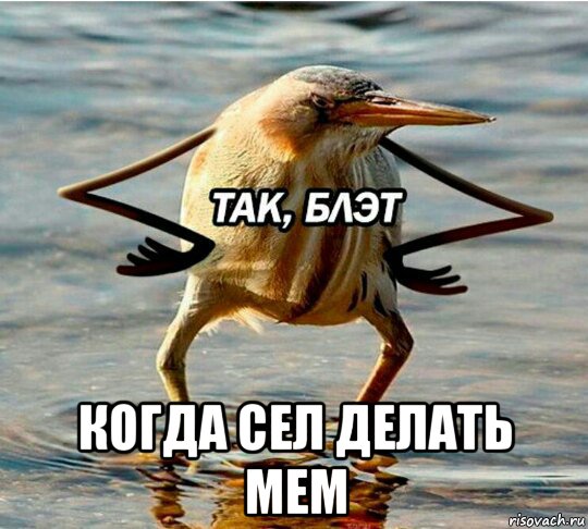  когда сел делать мем