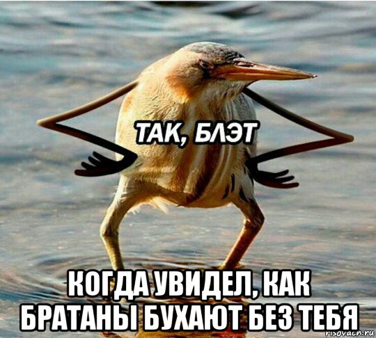 когда увидел, как братаны бухают без тебя
