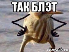 так блэт 